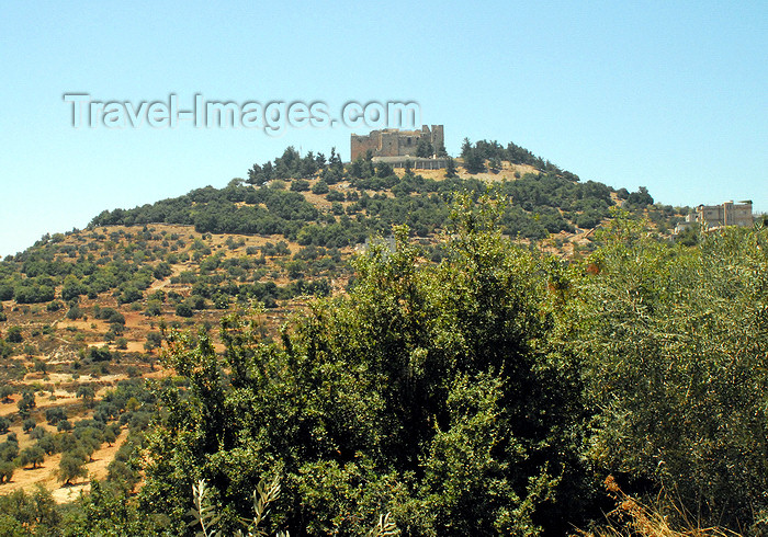 jordan82: Ajlun - Jordan: Ajlun castle - 12th century bastion against the Frankish crusaders - photo by M.Torres - (c) Travel-Images.com - Stock Photography agency - Image Bank