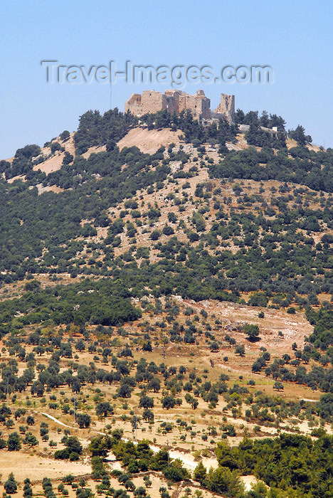 jordan84: Ajlun - Jordan: Ajlun castle - Qala'at al Rabadh - built by Izz al-Din Usama, a nephew of Saladin - photo by M.Torres - (c) Travel-Images.com - Stock Photography agency - Image Bank