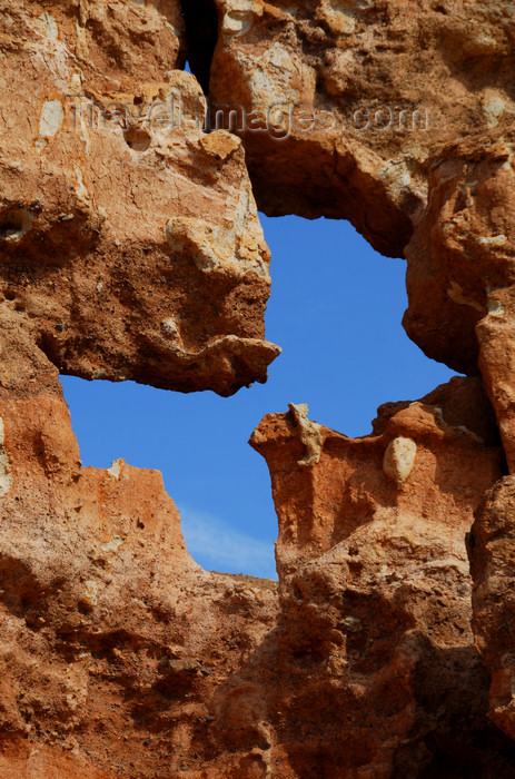 kazakhstan111: Kazakhstan, Charyn Canyon: Valley of the Castles - blue butterfly on the rock - photo by M.Torres - (c) Travel-Images.com - Stock Photography agency - Image Bank