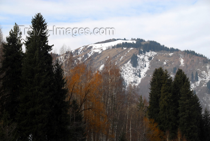 kazakhstan123: Kazakhstan - Chimbulak ski-resort, Almaty: mountain and forest - photo by M.Torres - (c) Travel-Images.com - Stock Photography agency - Image Bank