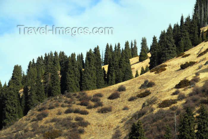 kazakhstan128: Kazakhstan - Chimbulak ski-resort, Almaty: green hills - photo by M.Torres - (c) Travel-Images.com - Stock Photography agency - Image Bank