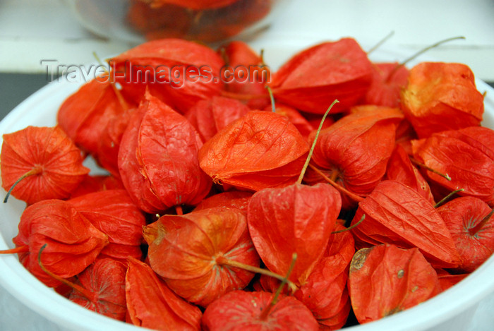 kazakhstan224: Kazakhstan, Almaty:green market, or Zelyoni Bazaar - Physalis fruit - Cape Gooseberry - Groundcherry - photo by M.Torres - (c) Travel-Images.com - Stock Photography agency - Image Bank