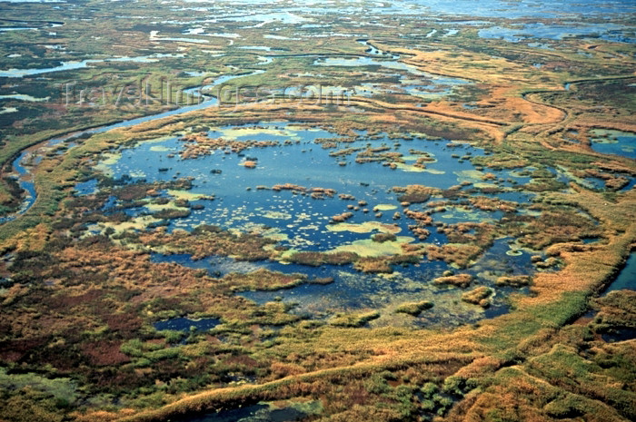 kazakhstan23: Kazakhstan - Lake Zaisan: delta of Kara-Irtysh from the air / Black Irtysh river - photo by V.Sidoropolev - (c) Travel-Images.com - Stock Photography agency - Image Bank