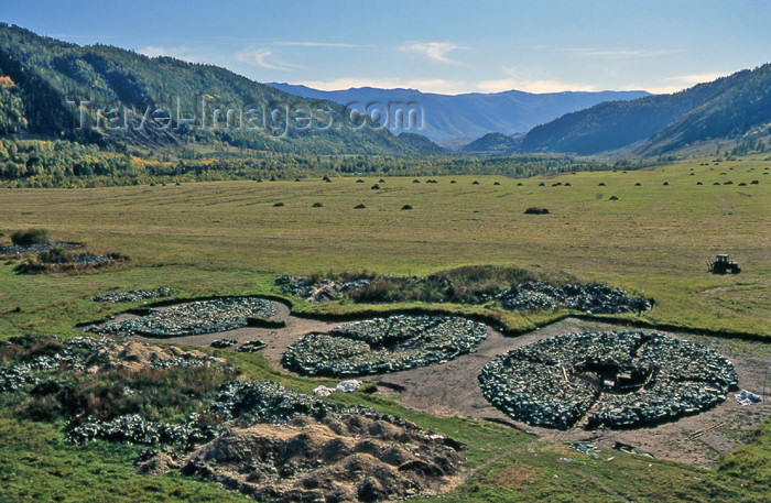 kazakhstan32: Kazakhstan - Berel - East Kazakhstan oblys: Kurgan - Scythian tombs - Tsar's valley  cemetery - Bukhtarma valley - foothills of the Altai mountains - photo by V.Sidoropolev - (c) Travel-Images.com - Stock Photography agency - Image Bank