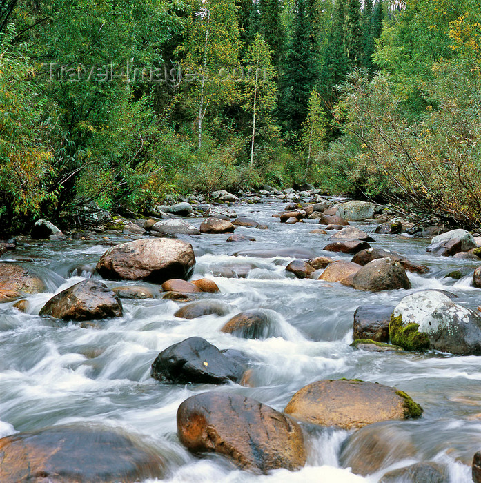 kazakhstan339: East Kazakhstan oblys: mountain stream and forest - photo by V.Sidoropolev - (c) Travel-Images.com - Stock Photography agency - Image Bank