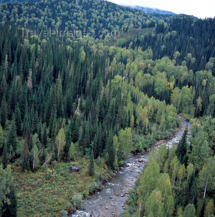 kazakhstan340: East Kazakhstan oblys: mountain stream and forest seen from the air - photo by V.Sidoropolev - (c) Travel-Images.com - Stock Photography agency - Image Bank