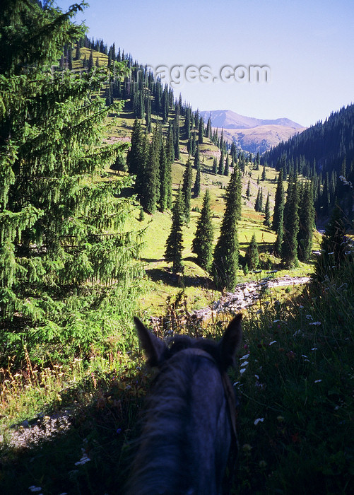 kazakhstan47: Kazakhstan - Almaty oblys: visiting the countryside on a horse - photo by E.Petitalot - (c) Travel-Images.com - Stock Photography agency - Image Bank