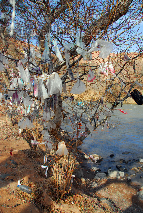 kazakhstan89: Kazakhstan, Charyn Canyon: prayer tree by the Charyn River - photo by M.Torres - (c) Travel-Images.com - Stock Photography agency - Image Bank