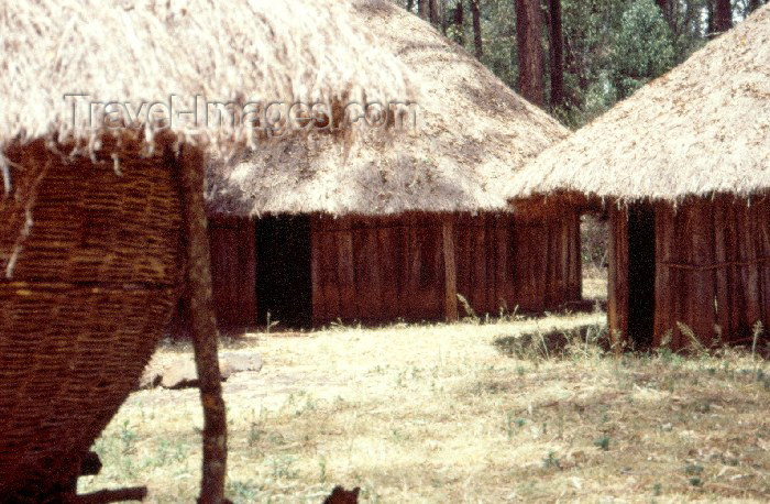 kenya40: Kenya - The Bomas of Kenya: Kikuyu village - huts with thatched roofs (photo by F.Rigaud) - (c) Travel-Images.com - Stock Photography agency - Image Bank