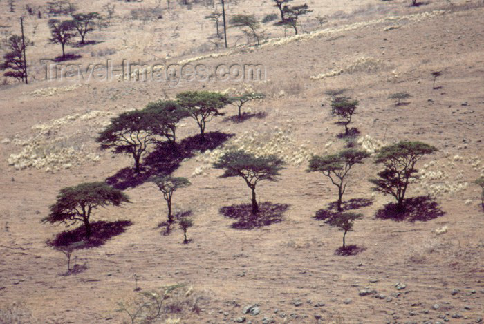 kenya43: Kenya - Ngongo Hills: the landscape - from above (photo by F.Rigaud) - (c) Travel-Images.com - Stock Photography agency - Image Bank