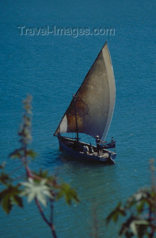 kenya9: Kenya - Kilifi: boat - dow (photo by F.Rigaud) - (c) Travel-Images.com - Stock Photography agency - Image Bank