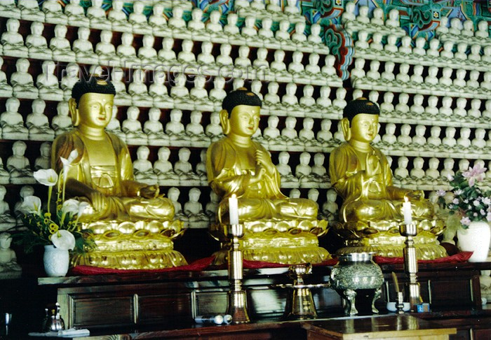 koreas66: Asia - South Korea - Kyeong Ju: Bulguk Sa - three gold Buddhas - photo by S.Lapides - (c) Travel-Images.com - Stock Photography agency - Image Bank