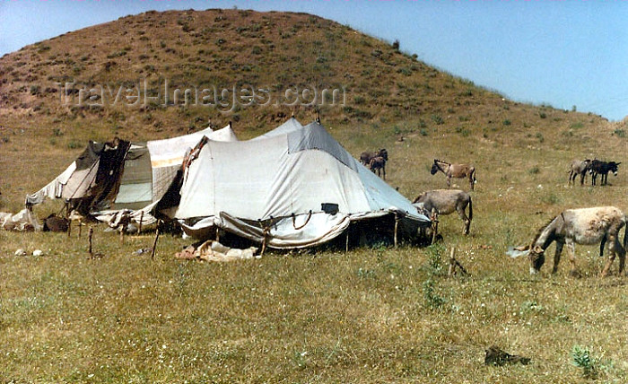 kurdistan0: Kurdistan, Syria: Kurdish camp - photo by G.Frysinger - (c) Travel-Images.com - Stock Photography agency - Image Bank