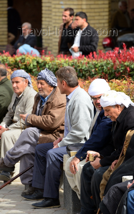 kurdistan2: Erbil / Hewler / Arbil / Irbil, Kurdistan, Iraq:old men gossip on the benches along Shar Park - photo by M.Torres - (c) Travel-Images.com - Stock Photography agency - Image Bank