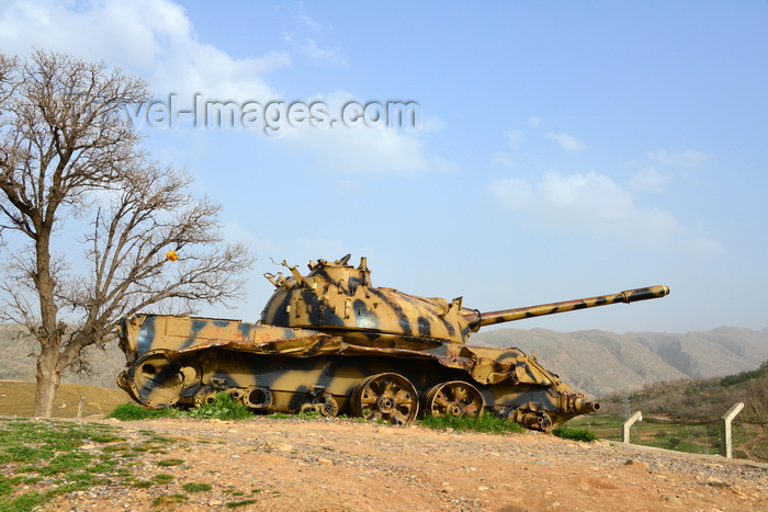 kurdistan97: Shera Swars, Kurdistan, Iraq: side view of a wrecked Iraqi army T-55 tanks, destroyed in combat by the Kurdish Peshmerga forces in a battle in 1991 - photo by M.Torres - (c) Travel-Images.com - Stock Photography agency - Image Bank