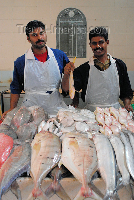 kuwait93: Kuwait city: fish market - happy fishmongers - photo by M.Torres - (c) Travel-Images.com - Stock Photography agency - the Global Image Bank