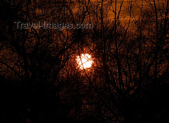 kyrgyzstan69: Bishkek, Kyrgyzstan: sun and trees - Oak Park - photo by M.Torres - (c) Travel-Images.com - Stock Photography agency - Image Bank