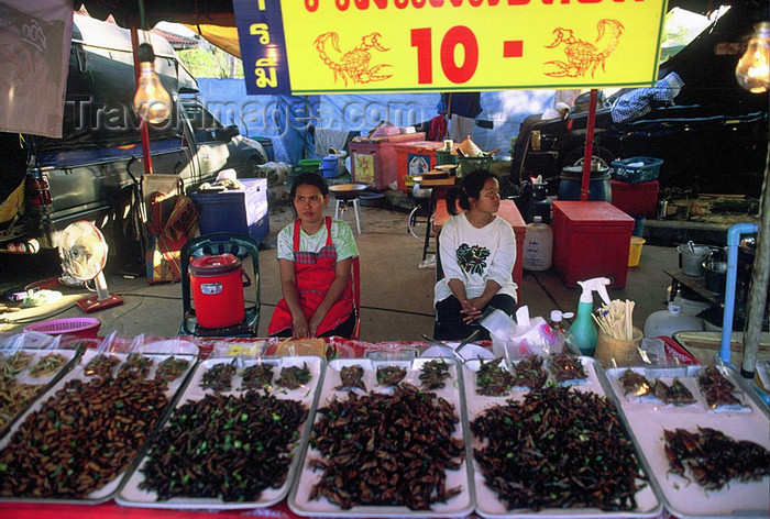 laos103: Laos: women sell scorpions and insects at the market - photo by E.Petitalot - (c) Travel-Images.com - Stock Photography agency - Image Bank