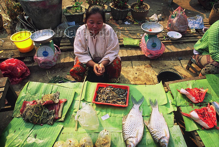 laos104: Laos: a woman sells fish and snake at the market - photo by E.Petitalot - (c) Travel-Images.com - Stock Photography agency - Image Bank