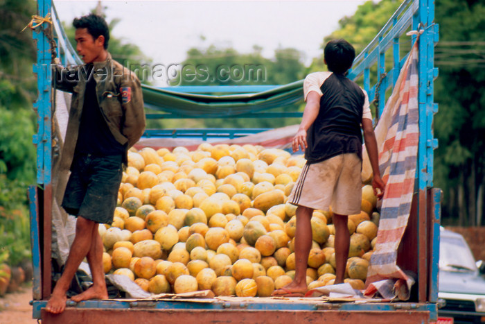 laos53: Laos - Luang Prabang - truck delivering pumpkins - photo by K.Strobel - (c) Travel-Images.com - Stock Photography agency - Image Bank