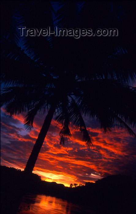 laos61: Laos - Luang Prabang - Sunset with palm - photo by K.Strobel - (c) Travel-Images.com - Stock Photography agency - Image Bank