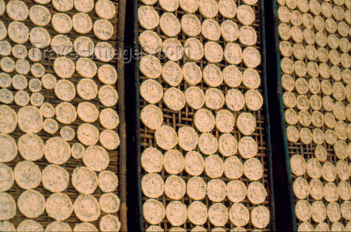 laos63: Laos - Laos - Rice pancakes drying on racks in the sun - used for Kao Soi (photo by K.Strobel) - (c) Travel-Images.com - Stock Photography agency - Image Bank