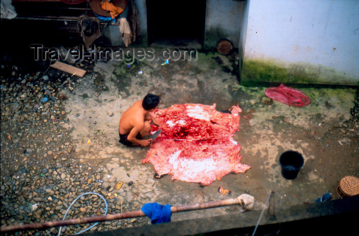 laos67: Laos - Vang Vieng - Man cleaning animal skin - photo by K.Strobel - (c) Travel-Images.com - Stock Photography agency - Image Bank