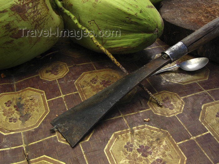 laos76: Laos - Don Det Island - Si Phan Don region - 4000 islands - Mekong river: tool for opening coconuts - photo by M.Samper - (c) Travel-Images.com - Stock Photography agency - Image Bank