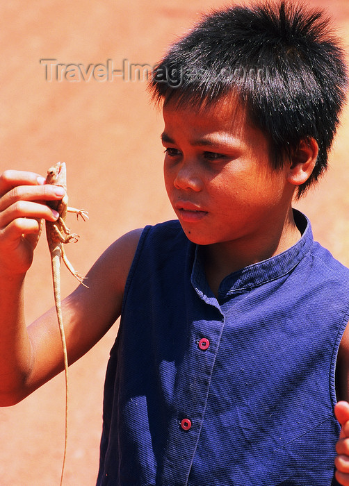 laos95: Laos: a young boy caught a lizard to cook it  - photo by E.Petitalot - (c) Travel-Images.com - Stock Photography agency - Image Bank