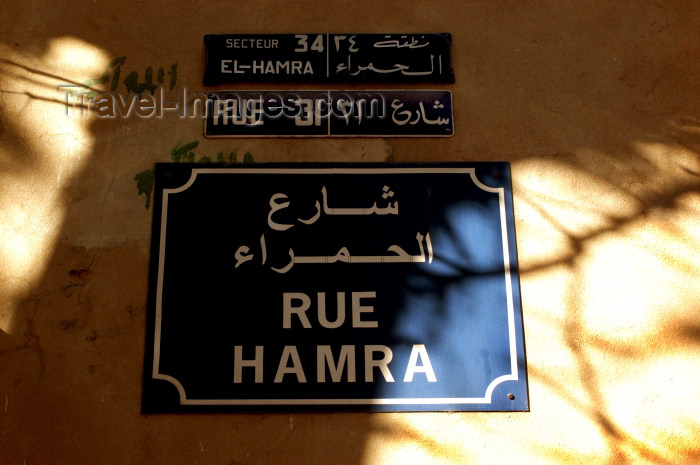 lebanon37: Lebanon / Liban - Beirut: street sign - Hamra street / rua Hamra (photo by J.Wreford) - (c) Travel-Images.com - Stock Photography agency - Image Bank