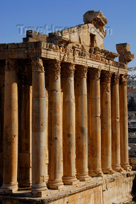 lebanon60: Lebanon, Baalbek: Temple of Bacchus - portico - photo by J.Pemberton - (c) Travel-Images.com - Stock Photography agency - Image Bank