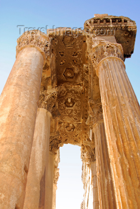 lebanon67: Lebanon, Baalbek: Temple of Bacchus - portico ceiling - photo by J.Pemberton - (c) Travel-Images.com - Stock Photography agency - Image Bank