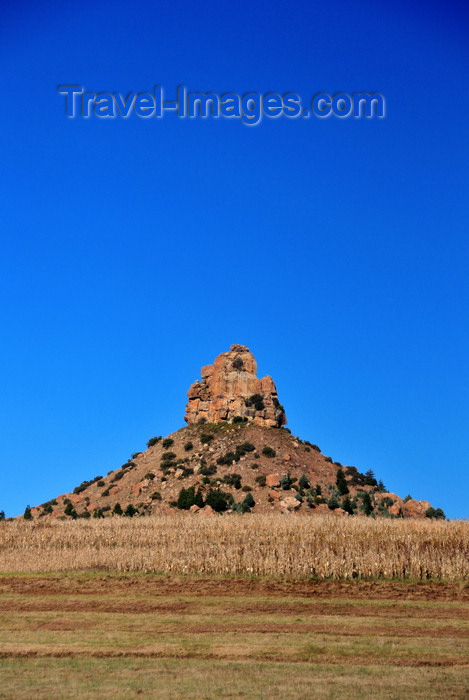 lesotho89: Thaba Bosiu, Lesotho: Qiloane pinnacle, hill crowned by a pillar of Cave Sandstone, in the middle of a corn field - photo by M.Torres - (c) Travel-Images.com - Stock Photography agency - Image Bank