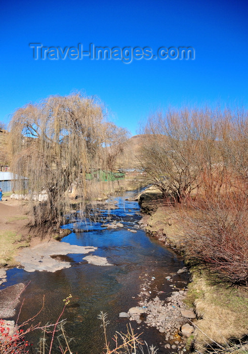 lesotho98: Ha Ramohope, Lesotho: river and willows seen from the A3 road - photo by M.Torres - (c) Travel-Images.com - Stock Photography agency - Image Bank