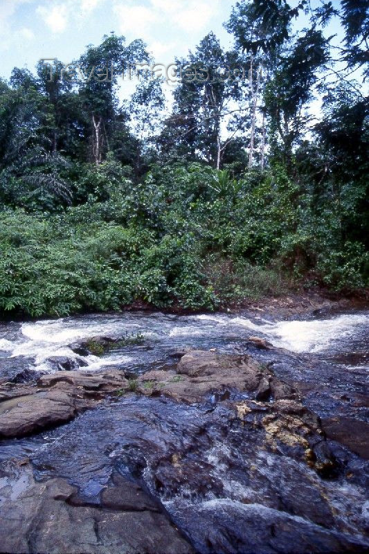 liberia18: Grand Bassa County, Liberia, West Africa: stream in the jungle - rapids - photo by M.Sturges - (c) Travel-Images.com - Stock Photography agency - Image Bank