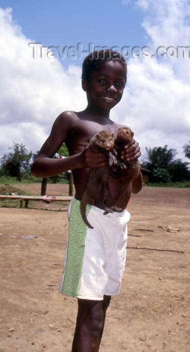 liberia30: Grand Bassa County, Liberia, West Africa: Buchanan - boy with mongooses - photo by M.Sturges - (c) Travel-Images.com - Stock Photography agency - Image Bank