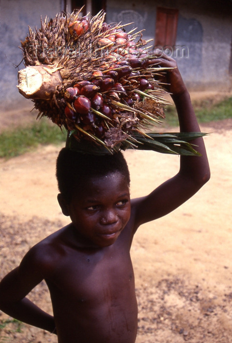 liberia31: Grand Bassa County, Liberia, West Africa: Buchanan / Gbezohn - boy with fruit on his head - photo by M.Sturges - (c) Travel-Images.com - Stock Photography agency - Image Bank