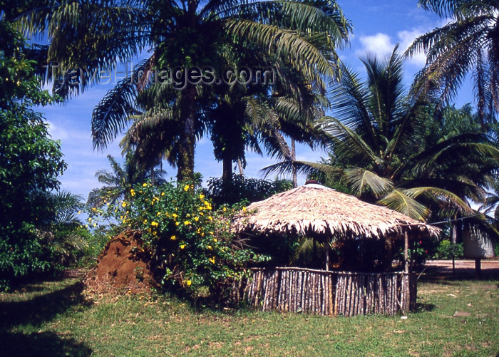 liberia40: Grand Bassa County, Liberia, West Africa: village hut - photo by M.Sturges - (c) Travel-Images.com - Stock Photography agency - Image Bank