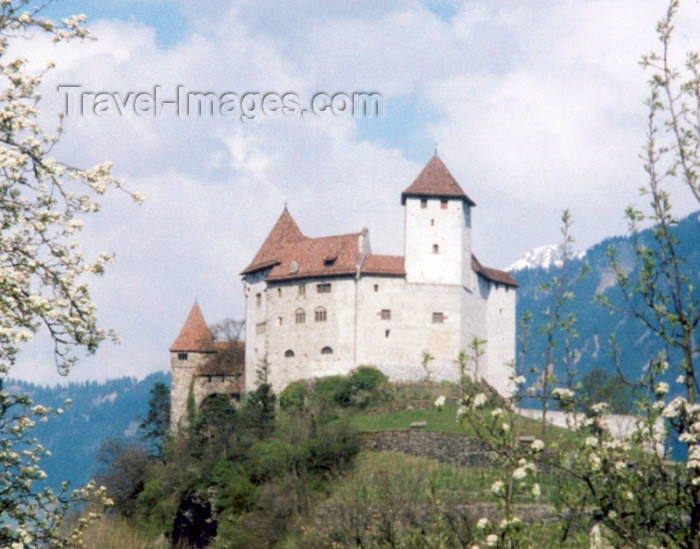 liech1: Liechtenstein - Balzers: vineyards and Gutenberg Castle / Weinberge und Schloß (photo by M.Torres) - (c) Travel-Images.com - Stock Photography agency - Image Bank
