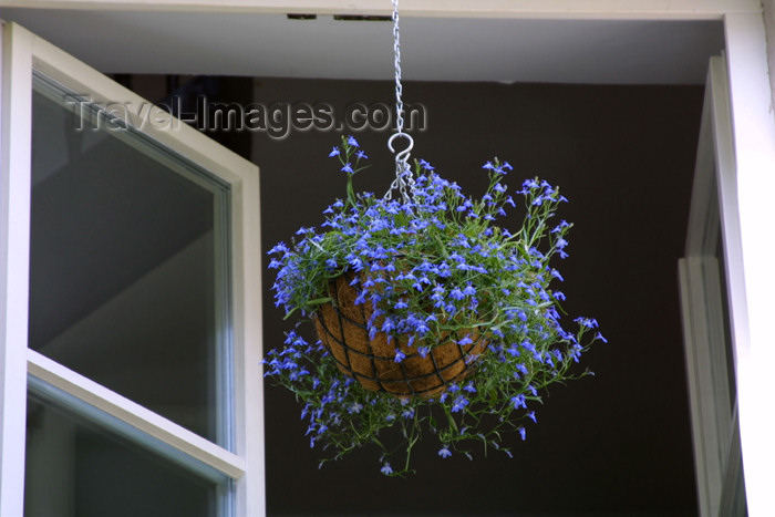 lithuania101: Lithuania - Vilnius: hanging vase - flowers - photo by A.Dnieprowsky - (c) Travel-Images.com - Stock Photography agency - Image Bank