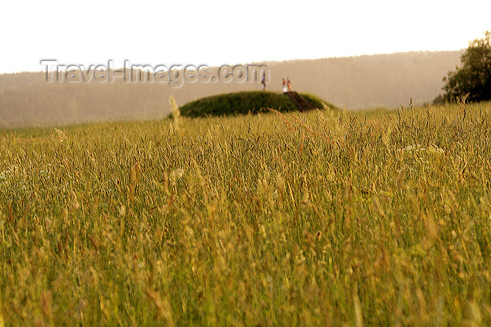 lithuania142: Lithuania - Kernave: wheat field, the lawn of Lithuania - photo by Sandia - (c) Travel-Images.com - Stock Photography agency - Image Bank