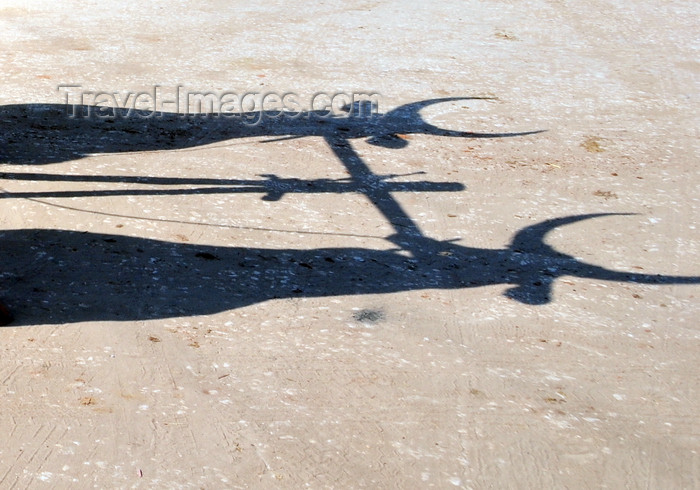 madagascar105: Morondava - Menabe, Toliara province, Madagascar: shadow of two oxen - photo by M.Torres - (c) Travel-Images.com - Stock Photography agency - Image Bank