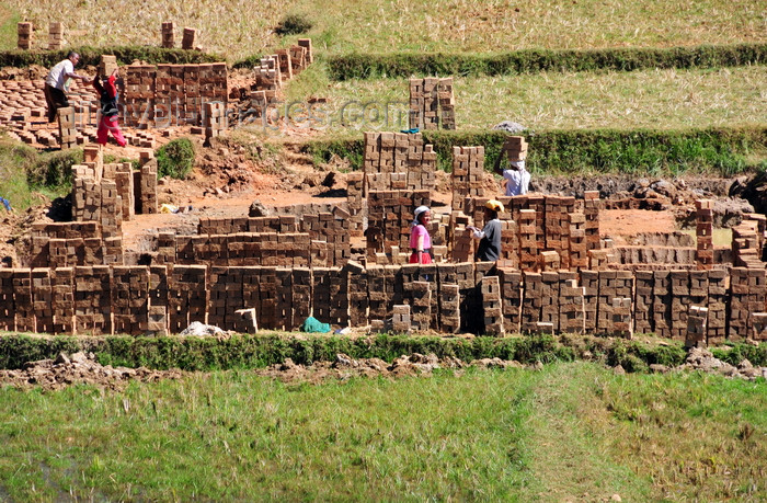 madagascar157: RN2, Antananarivo Province, Madagascar: mud brick industry in the middle of rice fields - photo by M.Torres - (c) Travel-Images.com - Stock Photography agency - Image Bank