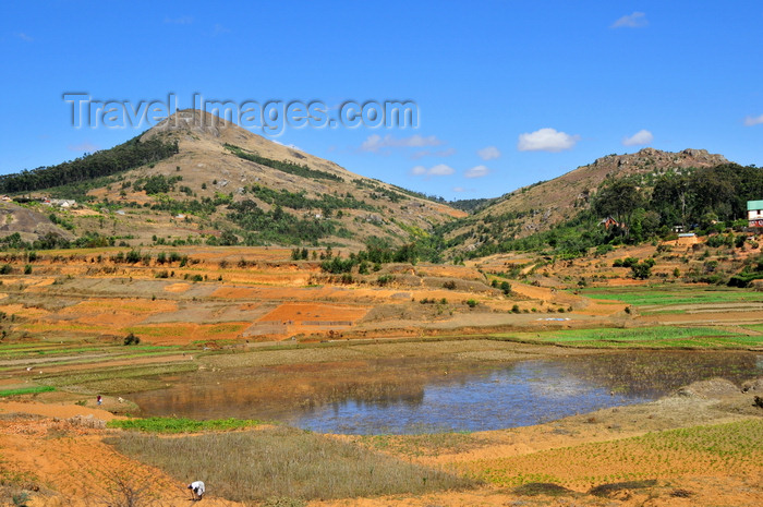 madagascar159: RN2, Alaotra-Mangoro region, Toamasina Province, Madagascar: hills, pond and fields - rural Madagascar - photo by M.Torres - (c) Travel-Images.com - Stock Photography agency - Image Bank