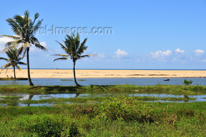 madagascar180: RN5, Mahatsara, Atsinanana region,Toamasina Province, Madagascar: beach and coconut trees - marsh near the Onibe river estuary - photo by M.Torres - (c) Travel-Images.com - Stock Photography agency - Image Bank