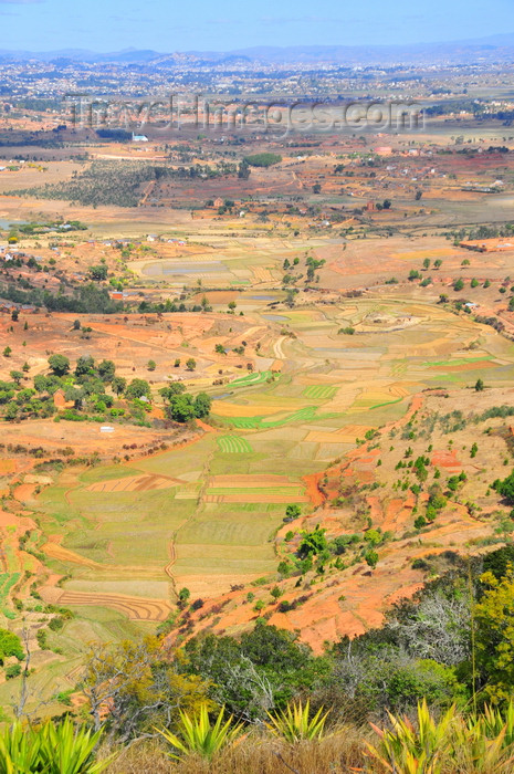 madagascar201: Ambohimanga Rova, Antananarivo-Avaradrano, Analamanga region, Antananarivo province, Madagascar: fields with the shape of the map of Madagascar - Imerina area - photo by M.Torres - (c) Travel-Images.com - Stock Photography agency - Image Bank