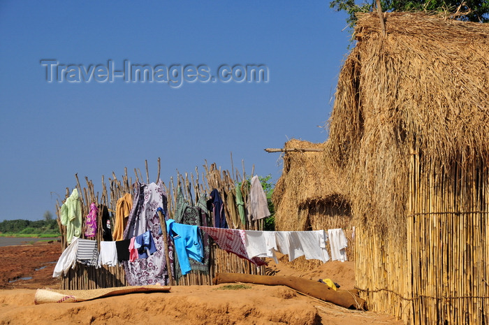 madagascar208: Tsimafana, Belo sur Tsiribihina district, Menabe Region, Toliara Province, Madagascar: straw huts and clothes line - village near the ferry 'terminal' - photo by M.Torres - (c) Travel-Images.com - Stock Photography agency - Image Bank