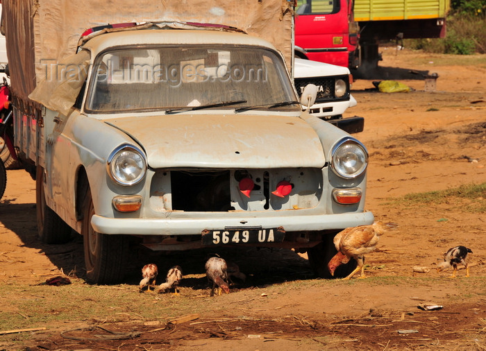 madagascar209: Tsimafana, Belo sur Tsiribihina district, Menabe Region, Toliara Province, Madagascar: Peugeot 404 Diesel pickup and chicken, an old workhorse of Francophone Africa - car designed by Pininfarina - photo by M.Torres - (c) Travel-Images.com - Stock Photography agency - Image Bank