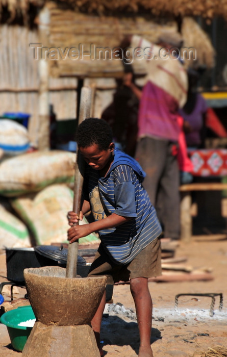 madagascar213: Tsimafana, Belo sur Tsiribihina district, Menabe Region, Toliara Province, Madagascar: boy preparing cassava flour - tapioca - mortar and pestle - village life - photo by M.Torres - (c) Travel-Images.com - Stock Photography agency - Image Bank