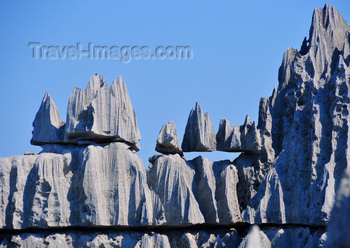 madagascar306: Tsingy de Bemaraha National Park, Mahajanga province, Madagascar: blocks carved with blades and sharp needles - karst limestone formation - UNESCO World Heritage Site - photo by M.Torres - (c) Travel-Images.com - Stock Photography agency - Image Bank